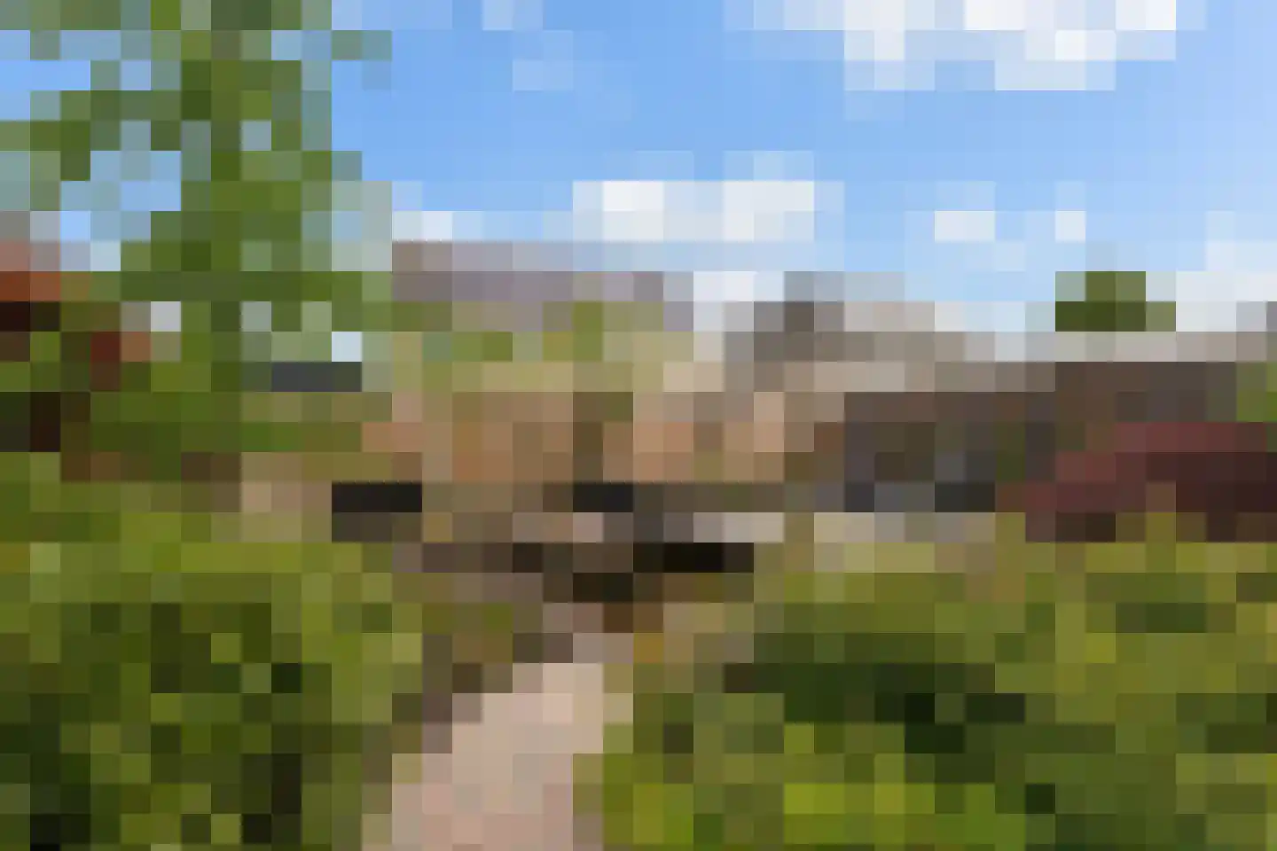 Statendaalder 1 Boxtel thumbnail 66