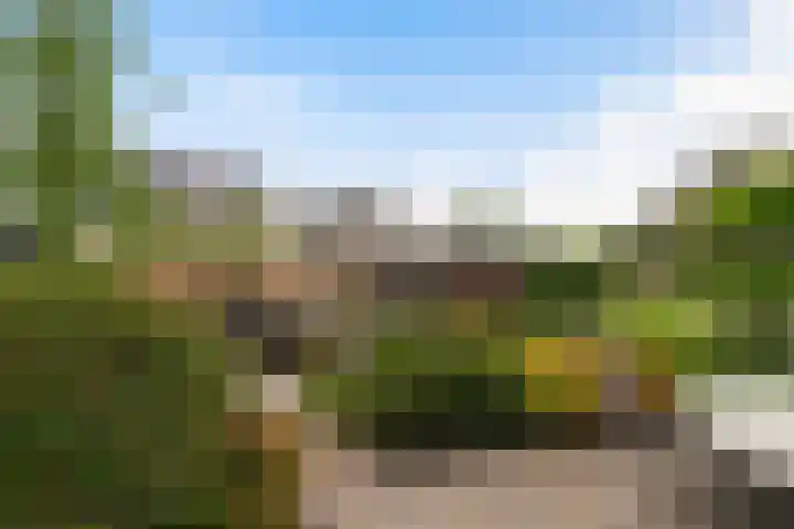 Statendaalder 1 Boxtel thumbnail 67