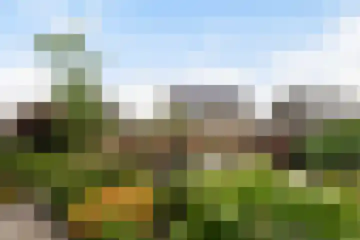 Statendaalder 1 Boxtel thumbnail 68