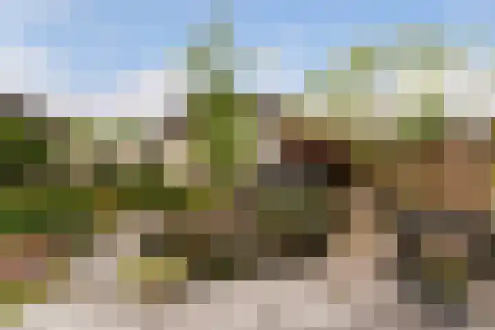 Statendaalder 1 Boxtel thumbnail 70