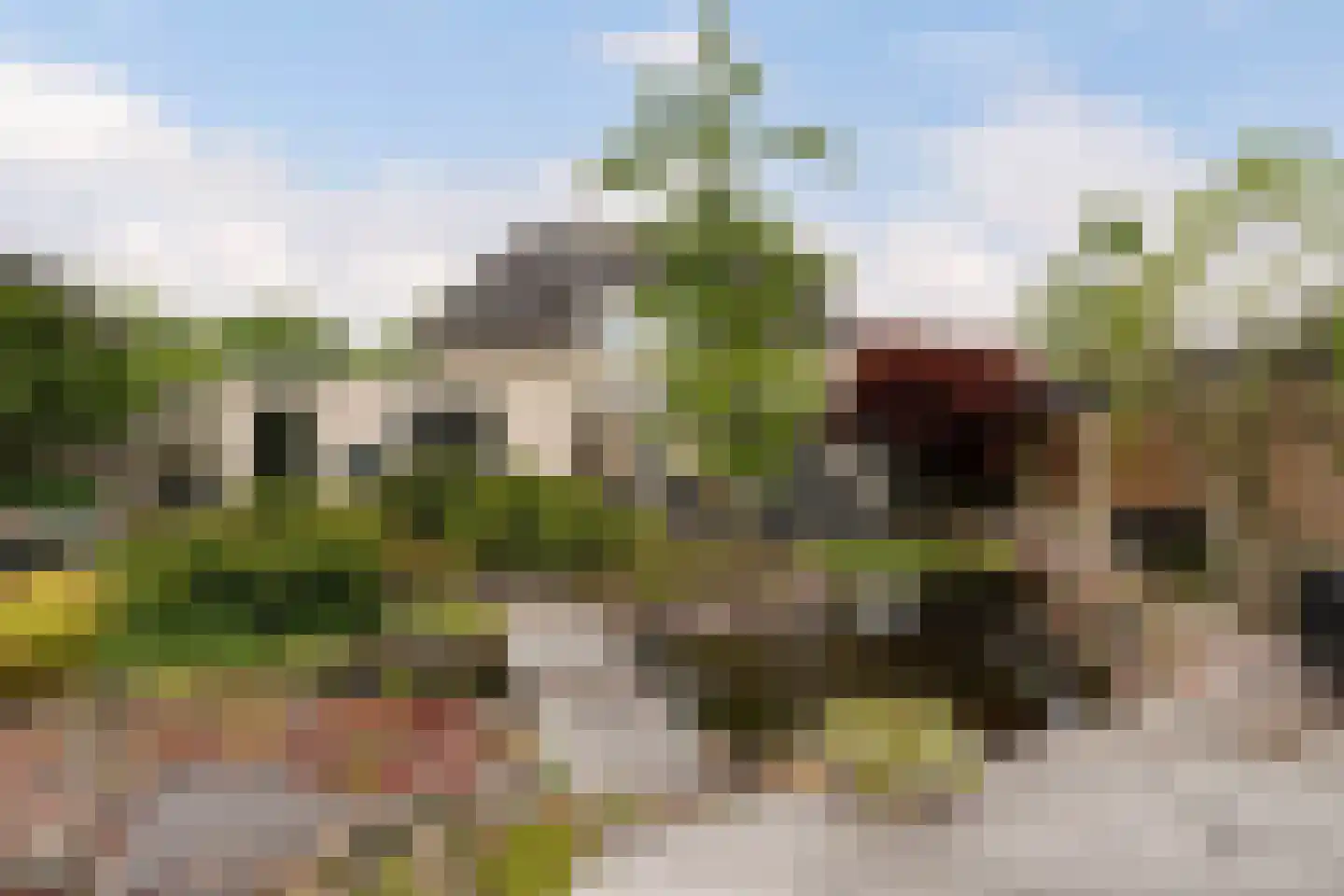 Statendaalder 1 Boxtel thumbnail 72