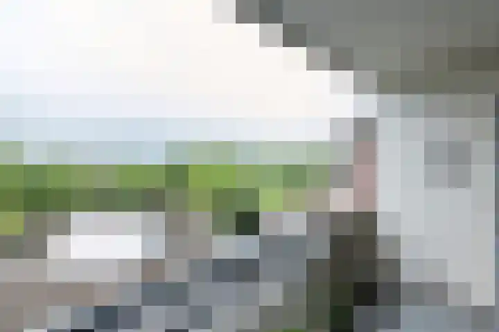 Statendaalder 22 Leiderdorp thumbnail 11