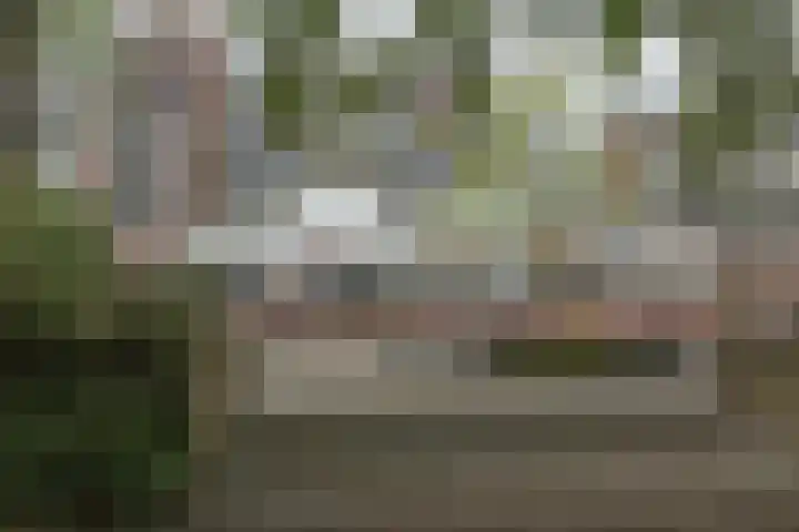 Statendaalder 22 Leiderdorp thumbnail 16
