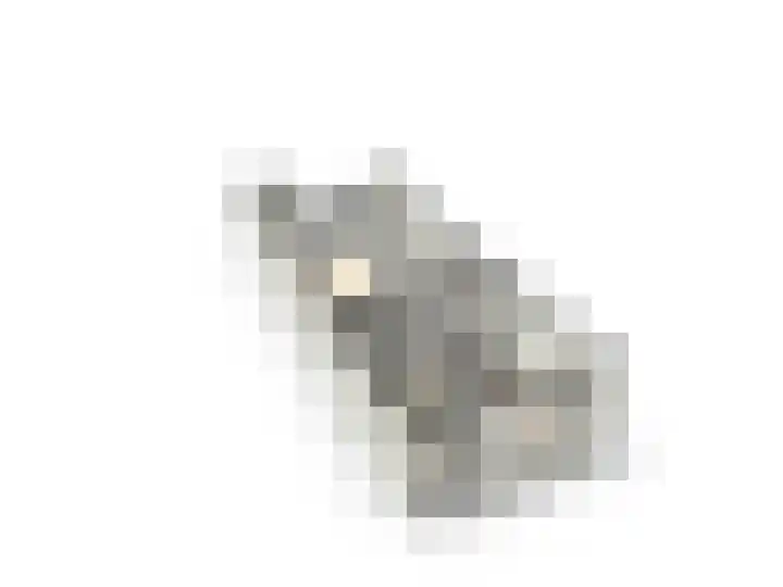 Statendaalder 22 Leiderdorp thumbnail 22