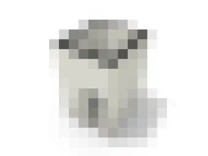 Statendaalder 22 Leiderdorp thumbnail 23