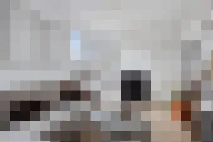 Statendaalder 4 Utrecht thumbnail 10