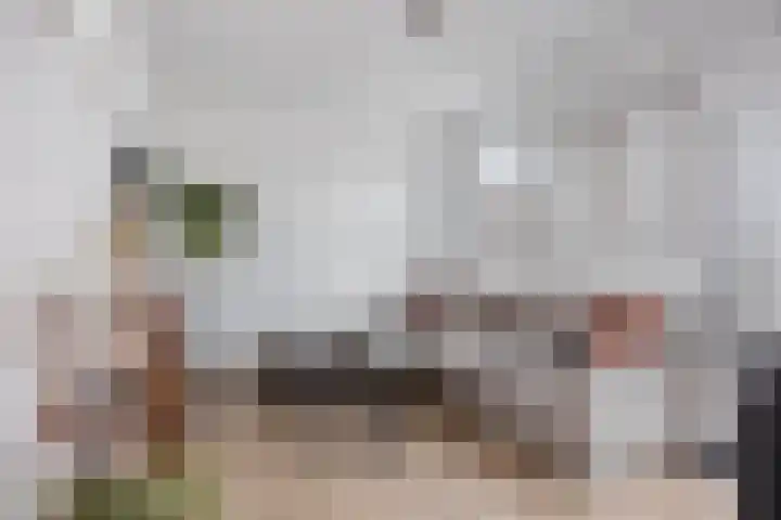 Statendaalder 4 Utrecht thumbnail 11