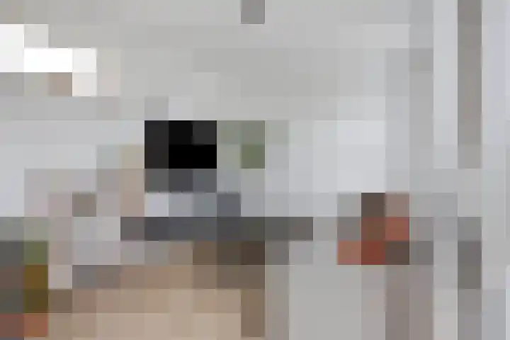 Statendaalder 4 Utrecht thumbnail 12