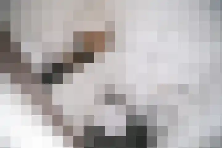 Statendaalder 46 Leiderdorp thumbnail 21