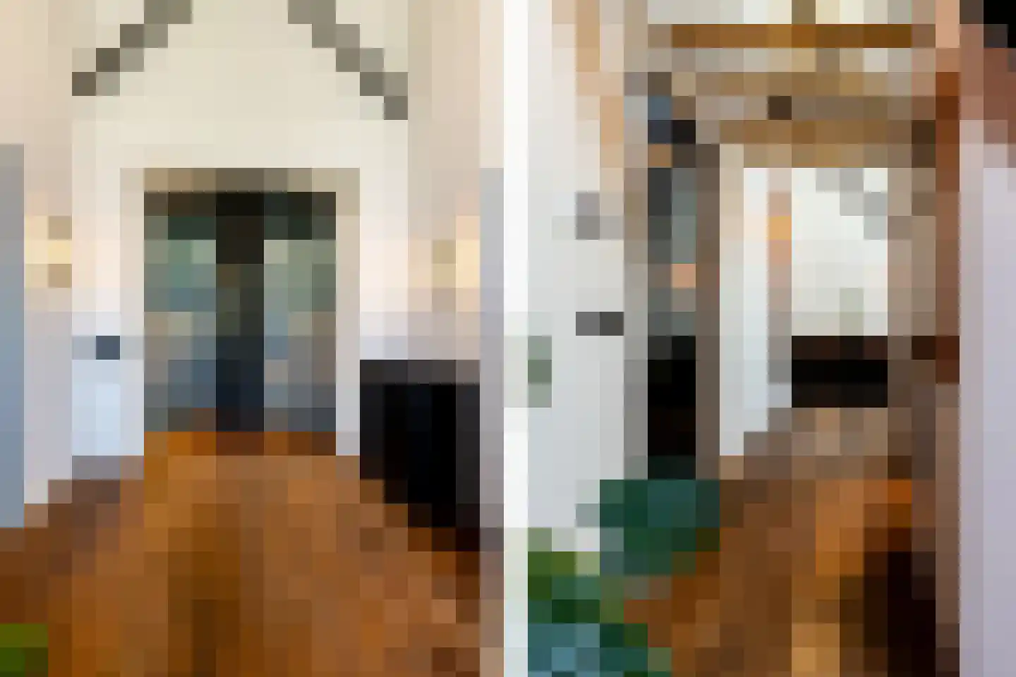 Statendaalder 46 Leiderdorp thumbnail 23