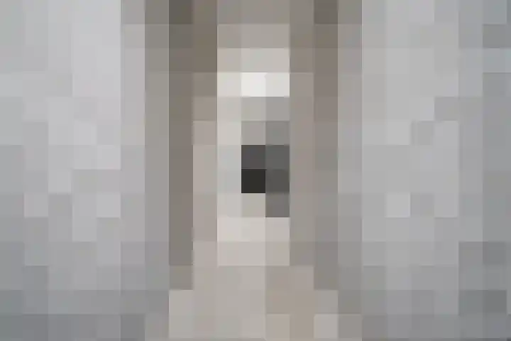 Statendaalder 46 Leiderdorp thumbnail 30