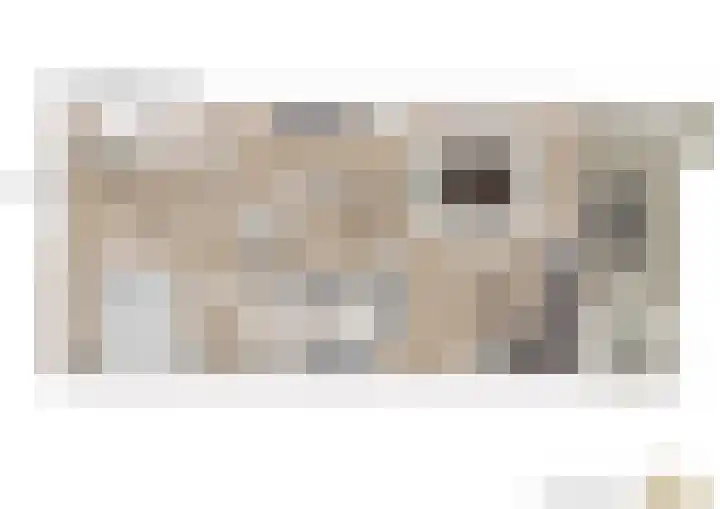 Statendaalder 46 Leiderdorp thumbnail 40