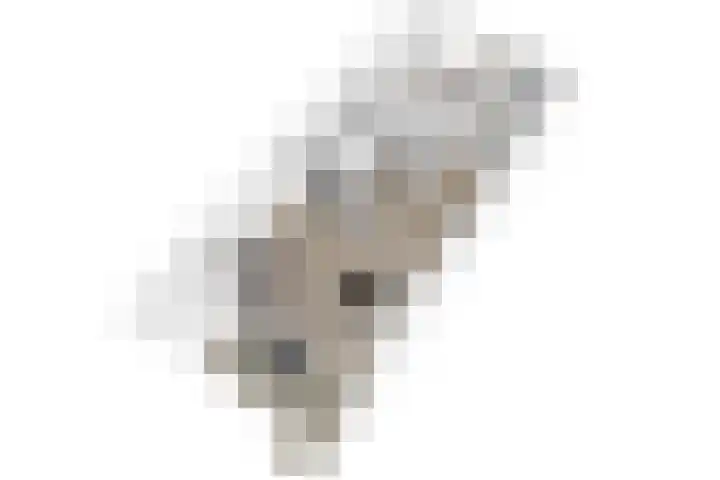 Statendaalder 46 Leiderdorp thumbnail 41