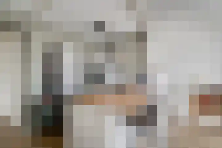 Statendaalder 6 Leiderdorp thumbnail 14