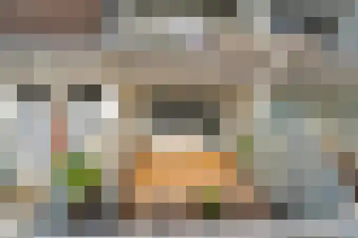Statendaalder 6 Leiderdorp thumbnail 22
