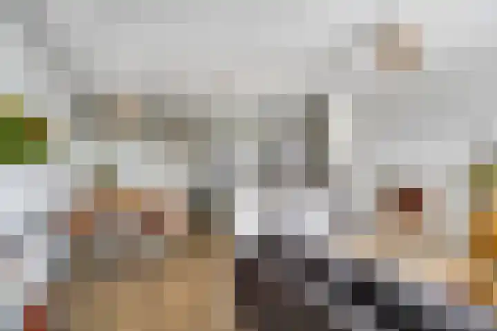 Statendaalder 6 Leiderdorp thumbnail 4