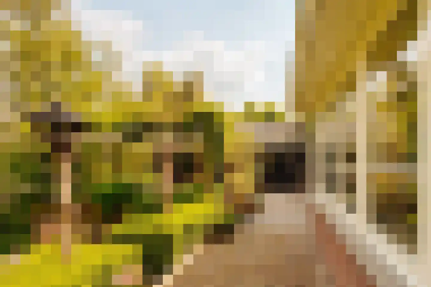 Statendam 11 Hoofddorp thumbnail 27