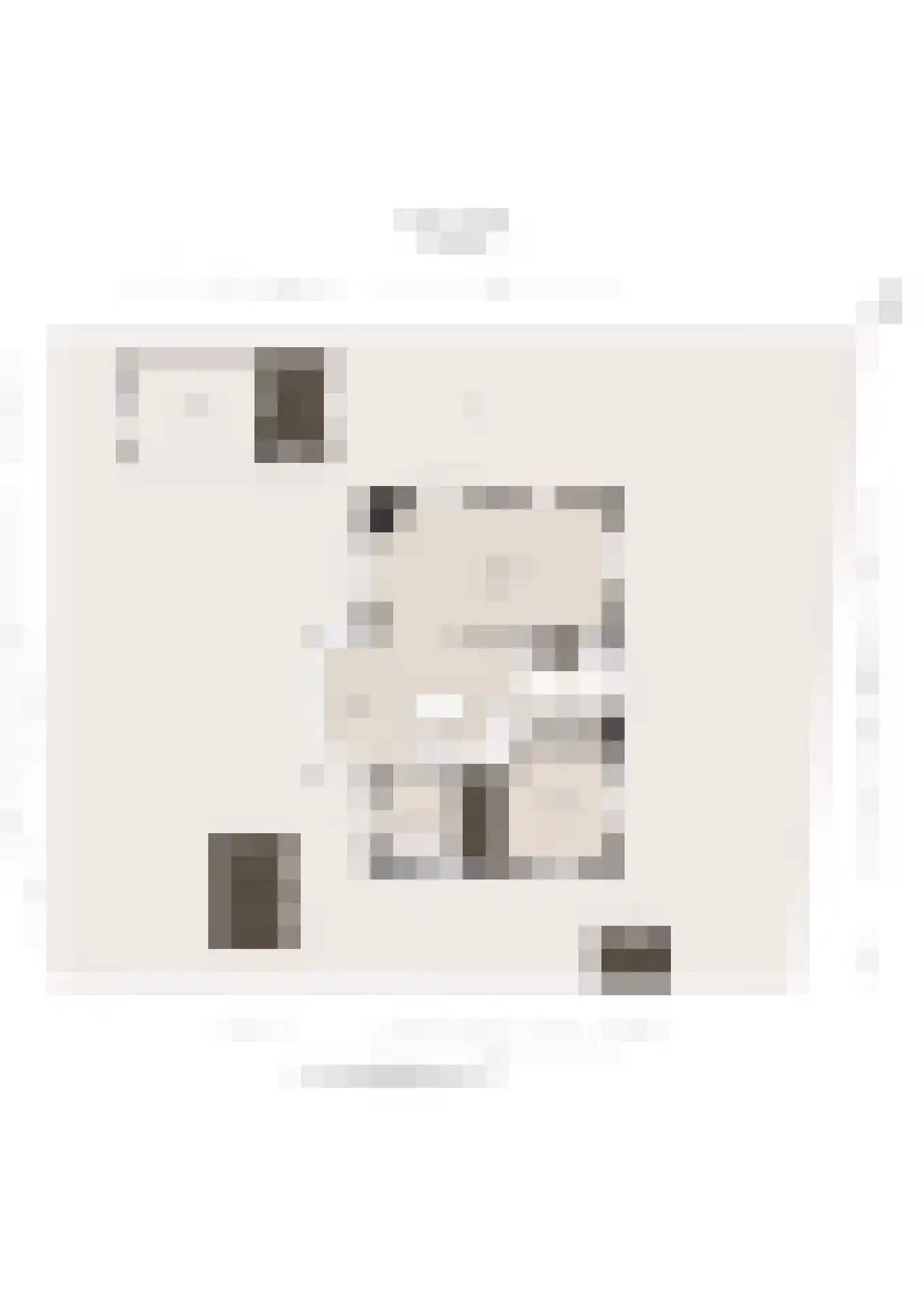 Statendam 11 Hoofddorp thumbnail 58