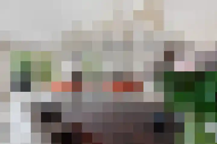 Statendam 2 Hoofddorp thumbnail 16