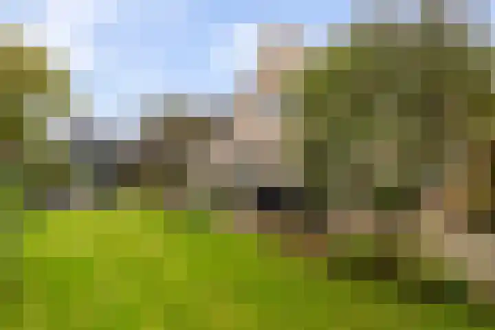 Statendam 2 Hoofddorp thumbnail 41