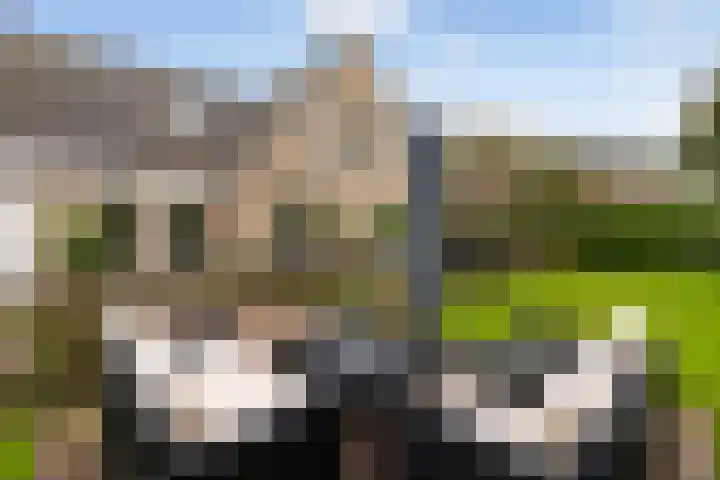 Statendam 2 Hoofddorp thumbnail 42