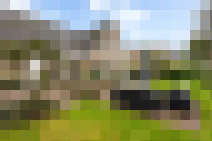 Statendam 2 Hoofddorp thumbnail 43