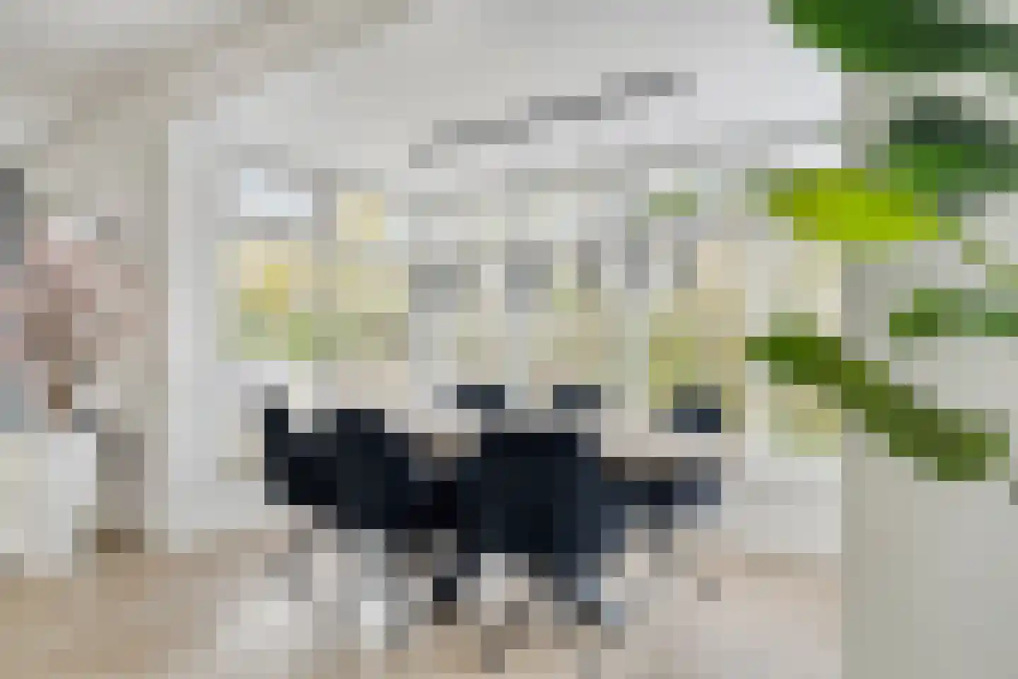 Statendam 33 Hoofddorp thumbnail 12