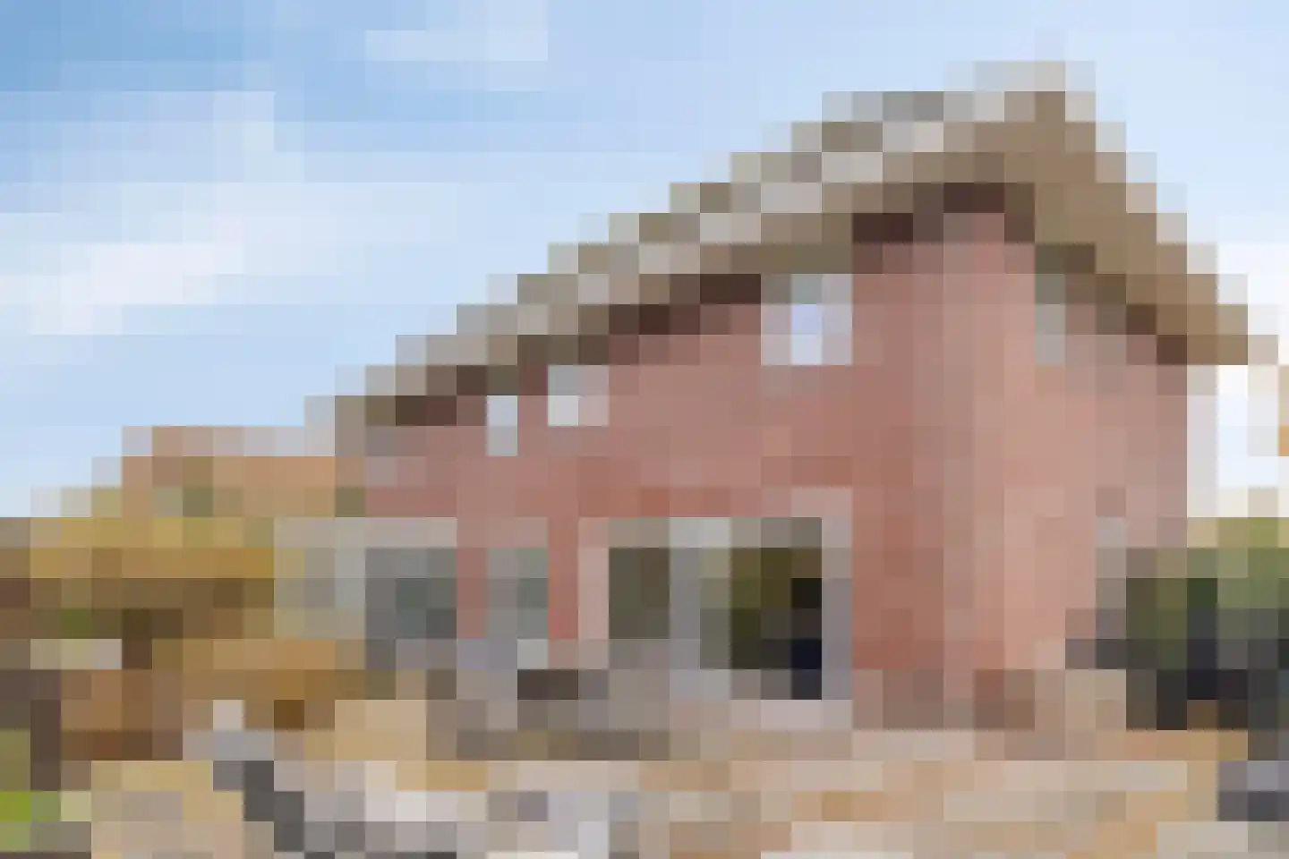 Statendam 33 Hoofddorp thumbnail 51