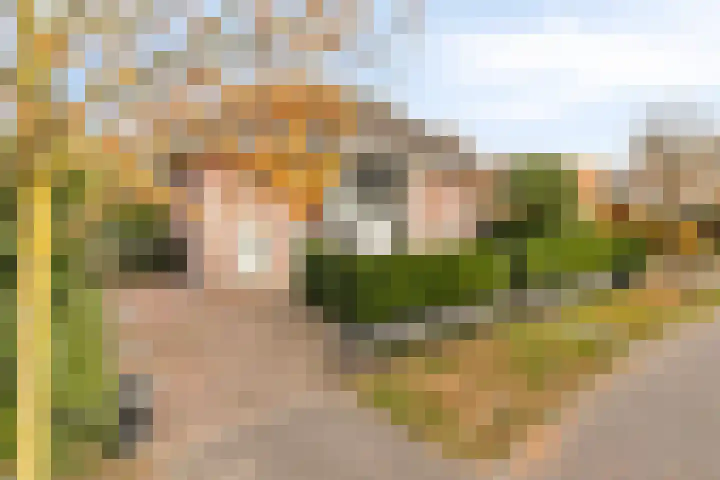 Statendam 33 Hoofddorp thumbnail 55