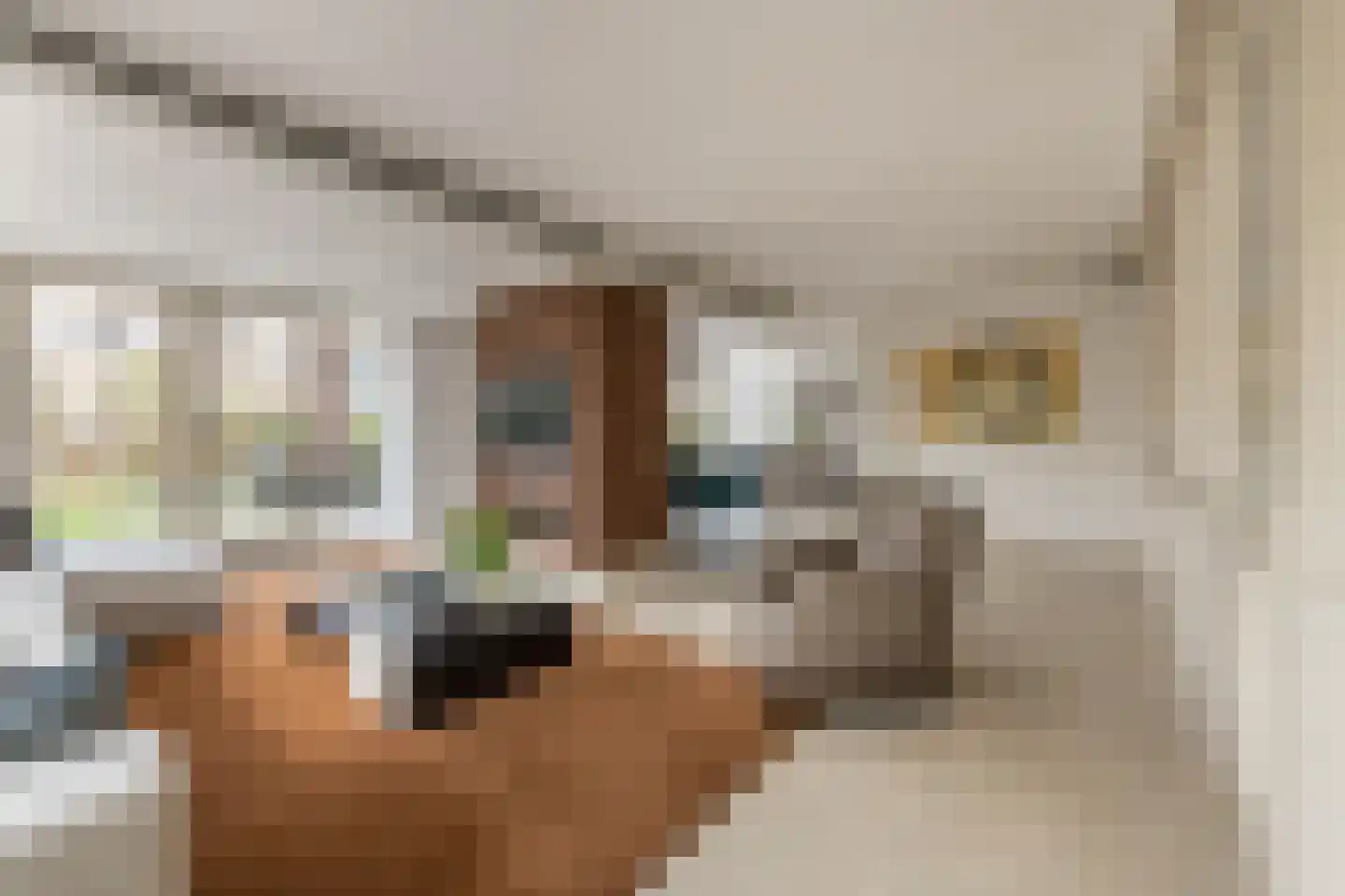 Statendam 4 Hoofddorp foto 3