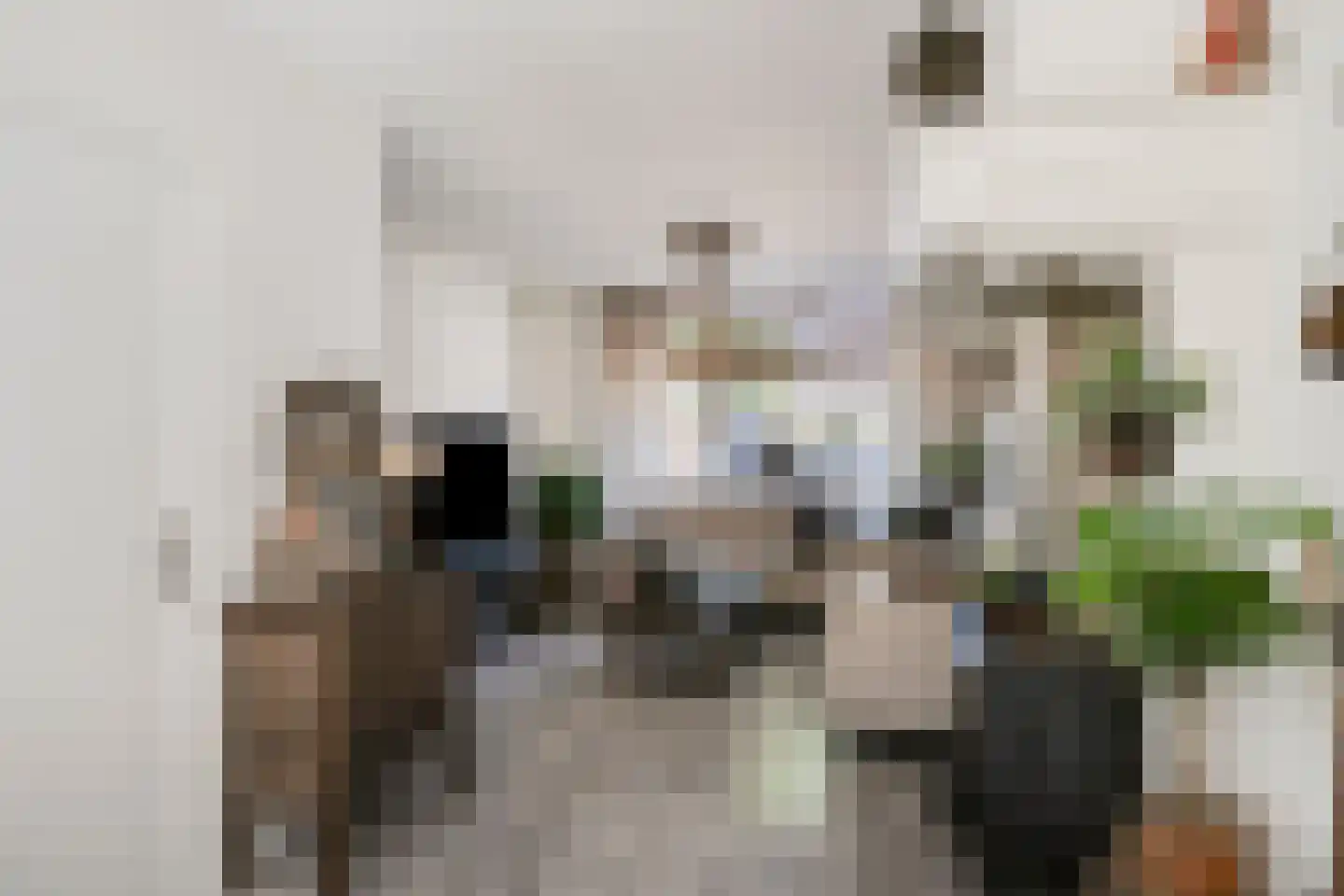 Statendamweg 12 Oosterhout thumbnail 21