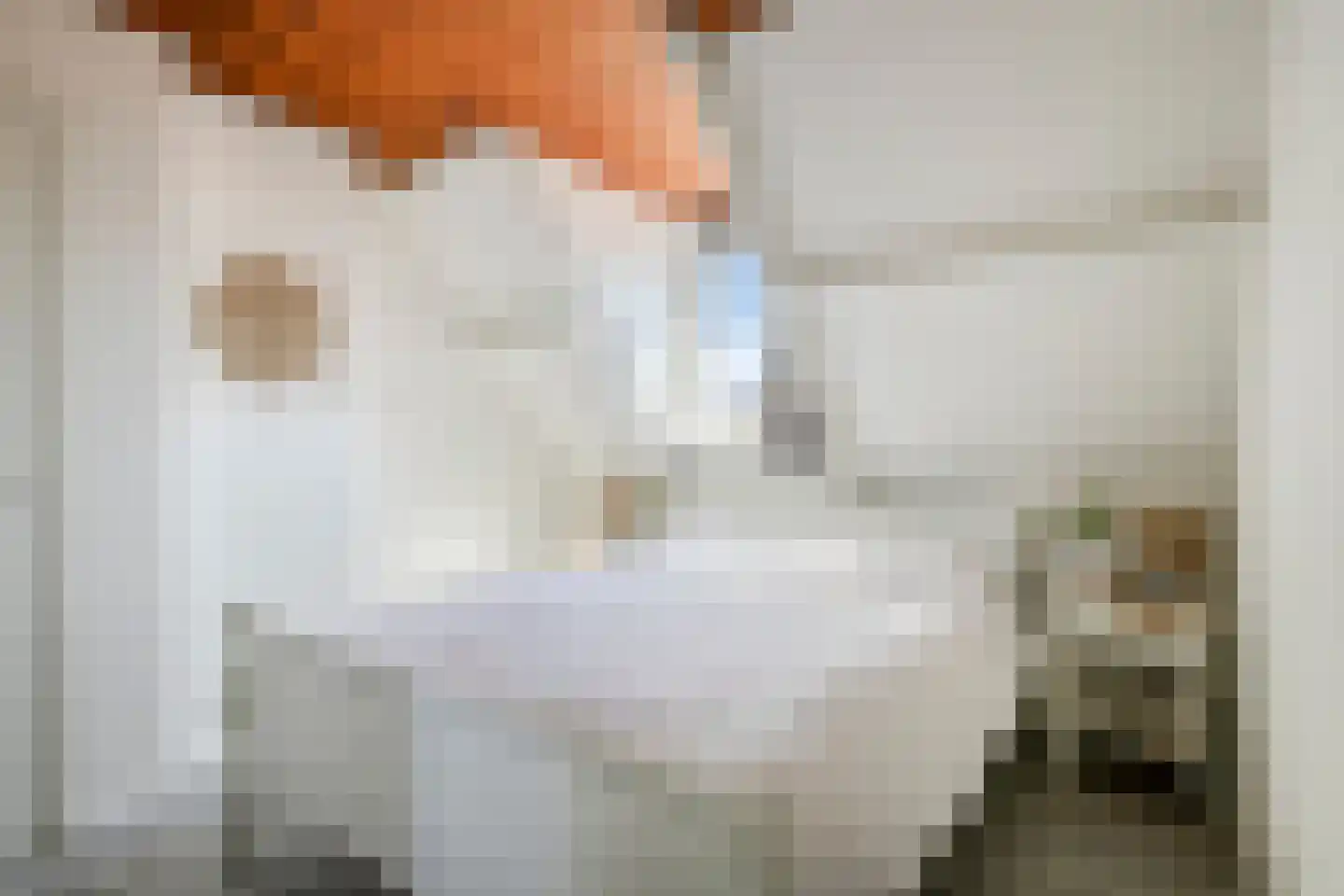 Statendamweg 12 Oosterhout thumbnail 23