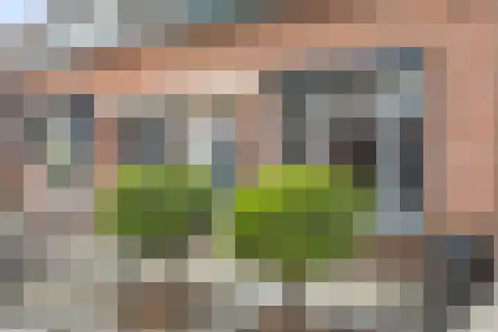Statendamweg 17 Oosterhout thumbnail 11