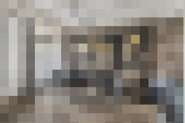 Statendamweg 17 Oosterhout thumbnail 18