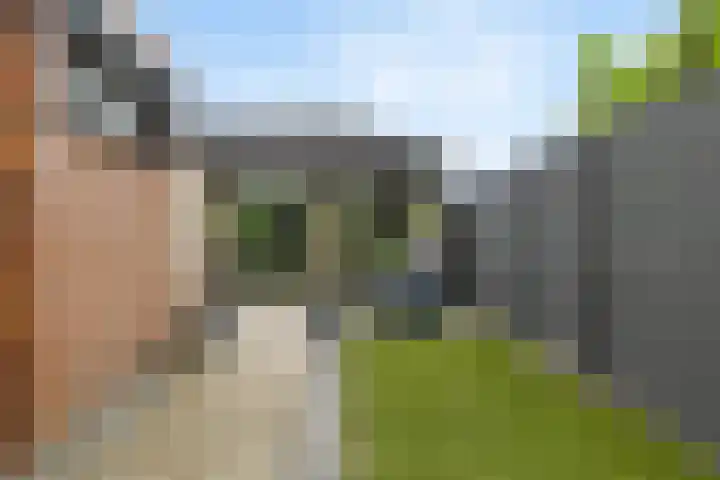 Statendamweg 17 Oosterhout thumbnail 55
