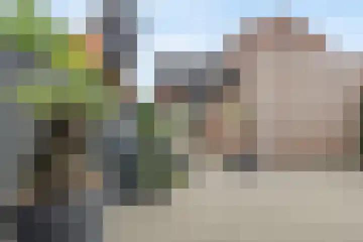 Statendamweg 17 Oosterhout thumbnail 58