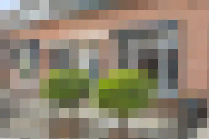 Statendamweg 17 Oosterhout thumbnail 68