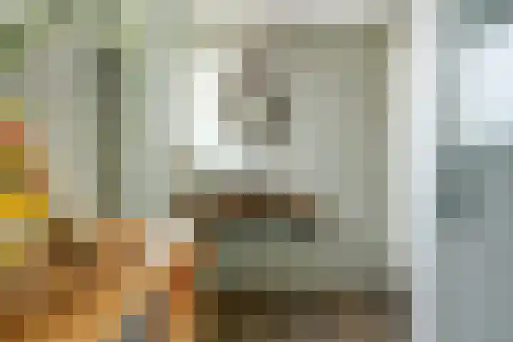 Statendamweg 24 Oosterhout thumbnail 19