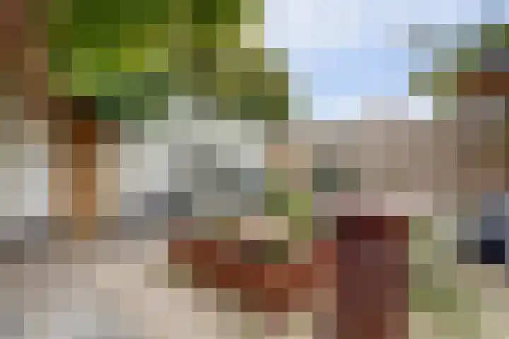Statendamweg 24 Oosterhout thumbnail 32