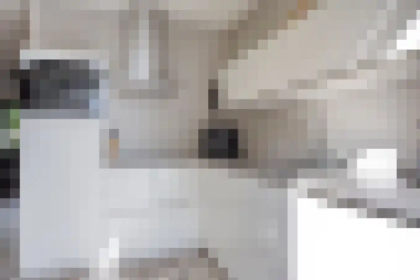 Statengulden 13 Dronten thumbnail 20