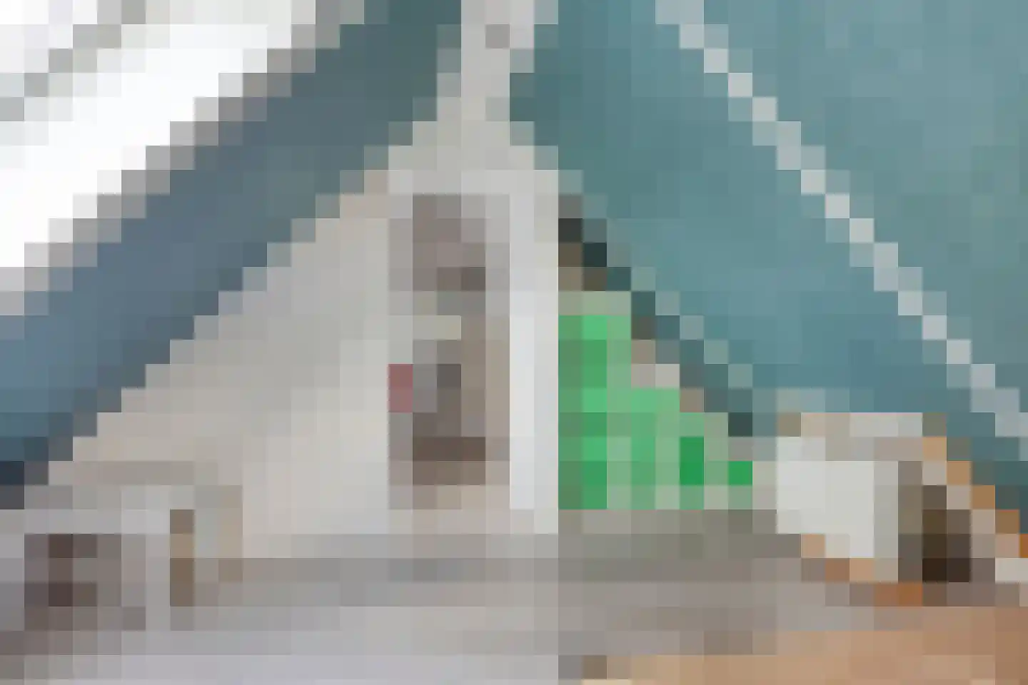 Statengulden 13 Dronten thumbnail 33