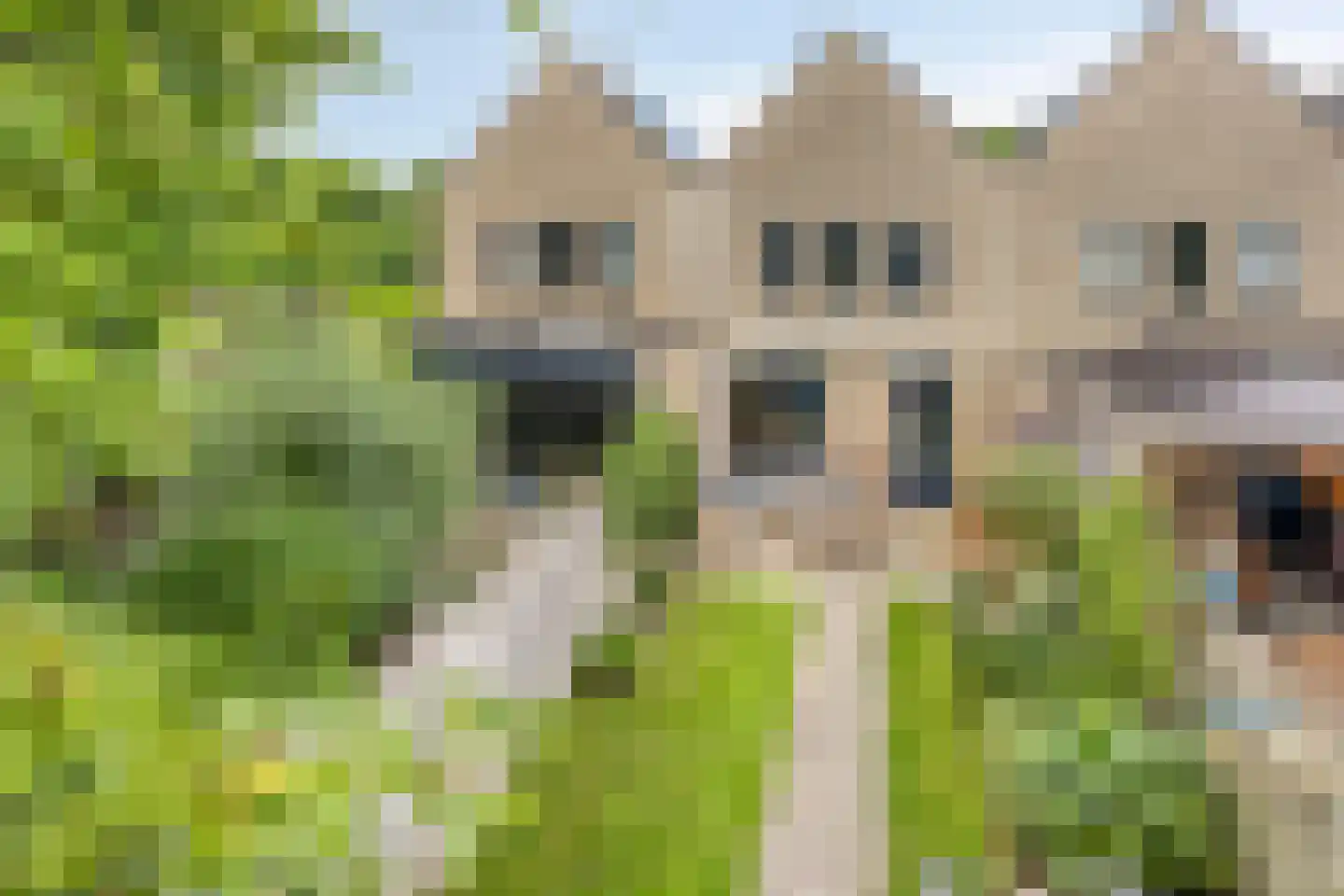 Statengulden 13 Dronten thumbnail 35