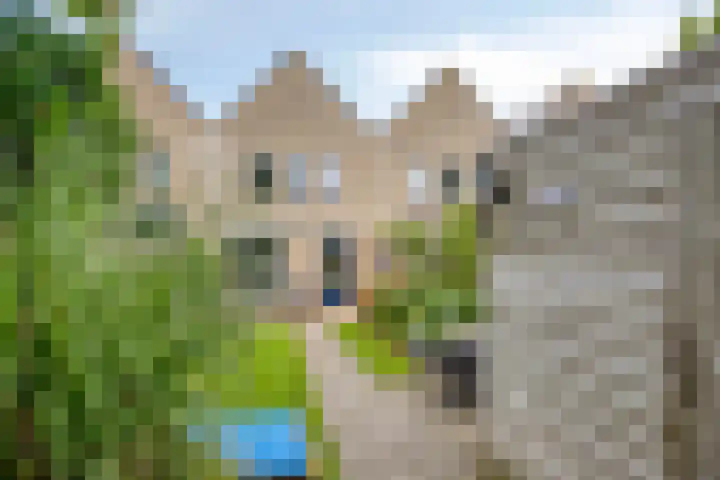 Statengulden 13 Dronten thumbnail 36