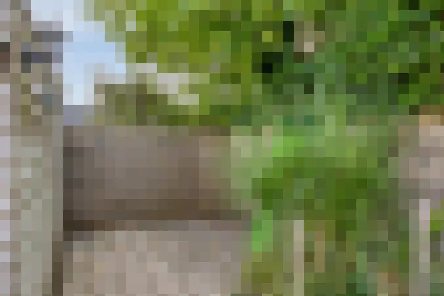 Statengulden 13 Dronten thumbnail 41