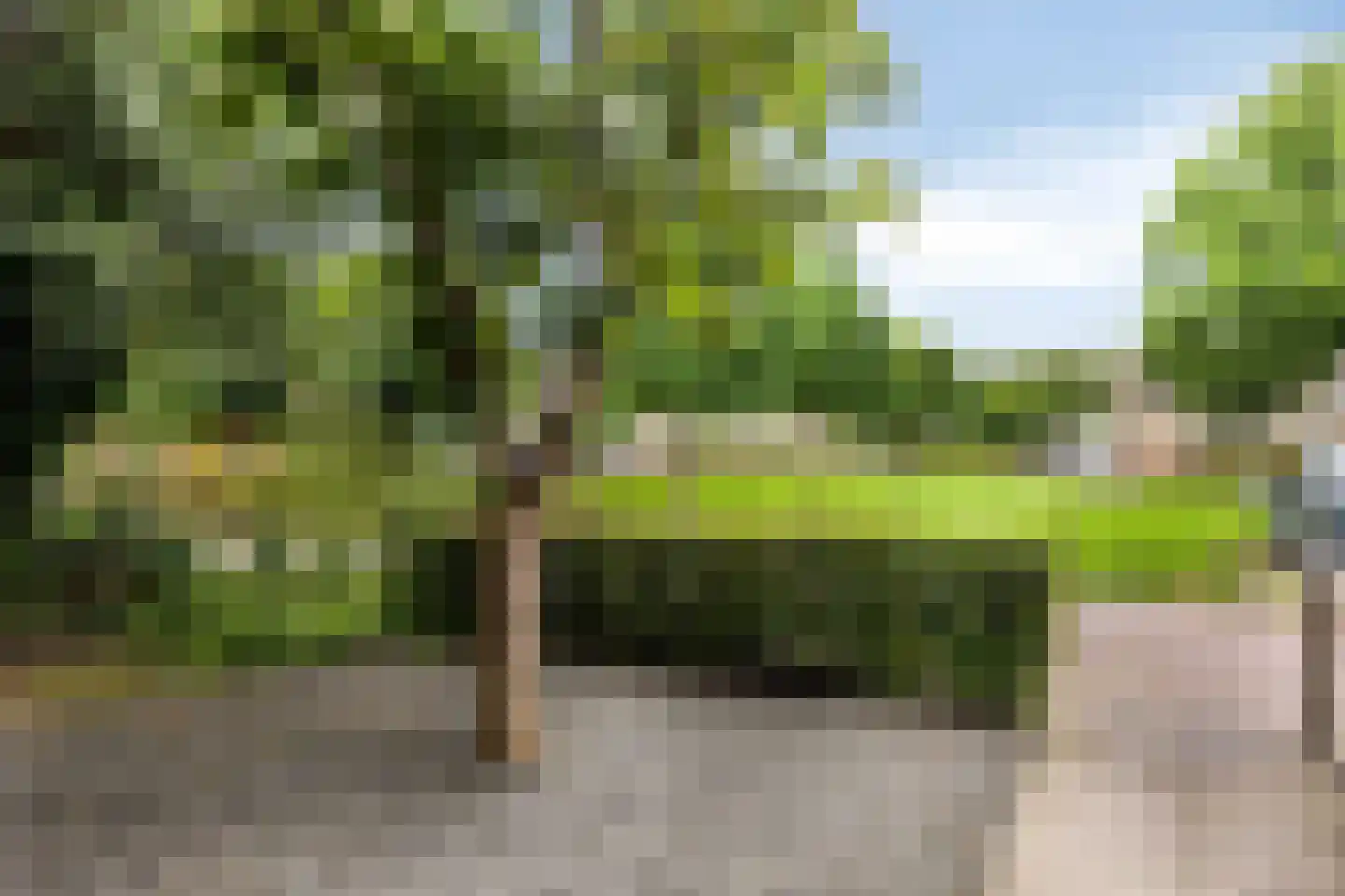 Statengulden 13 Dronten thumbnail 43