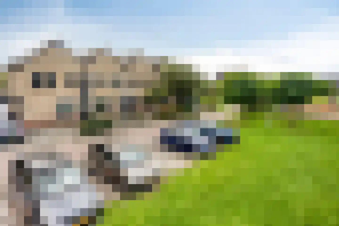 Statengulden 13 Dronten thumbnail 45