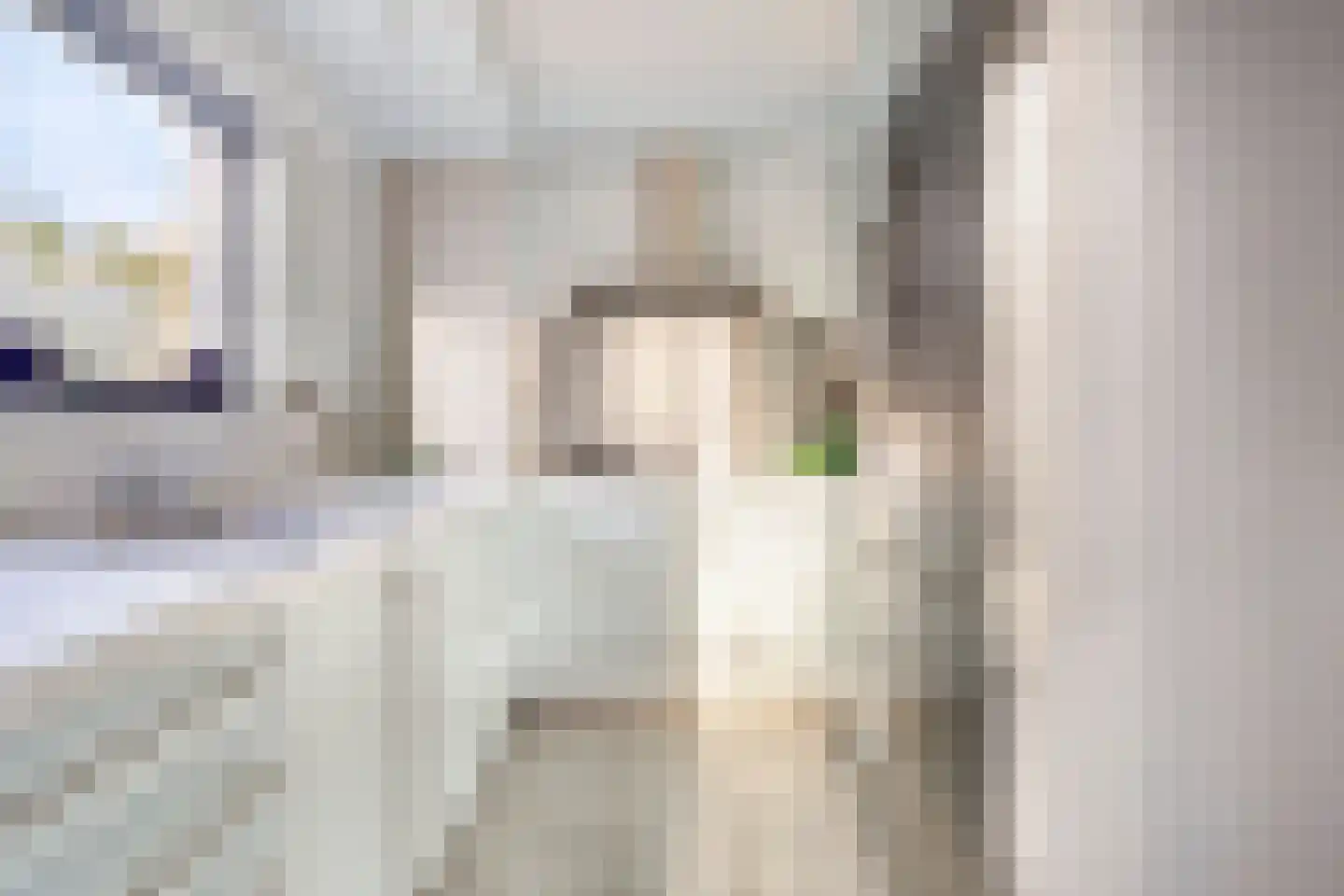 Statenhof 21 Goes thumbnail 11