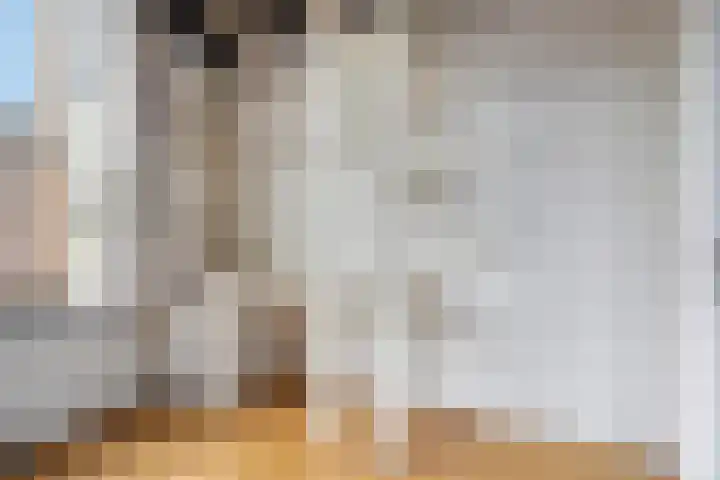 Statenhof 21 Goes thumbnail 15