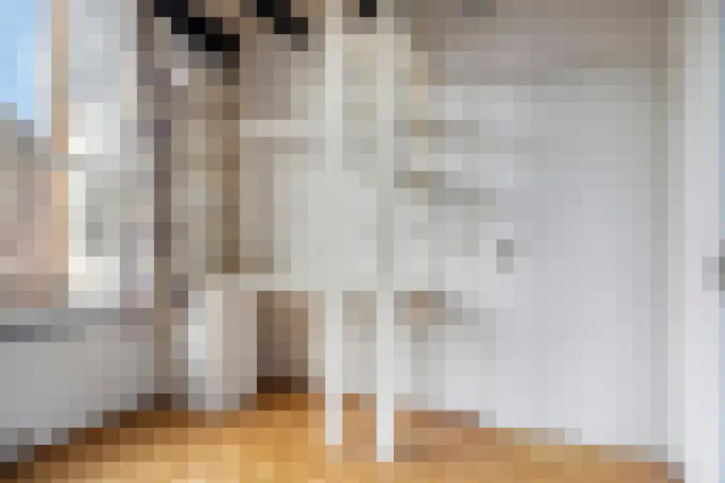 Statenhof 21 Goes thumbnail 17