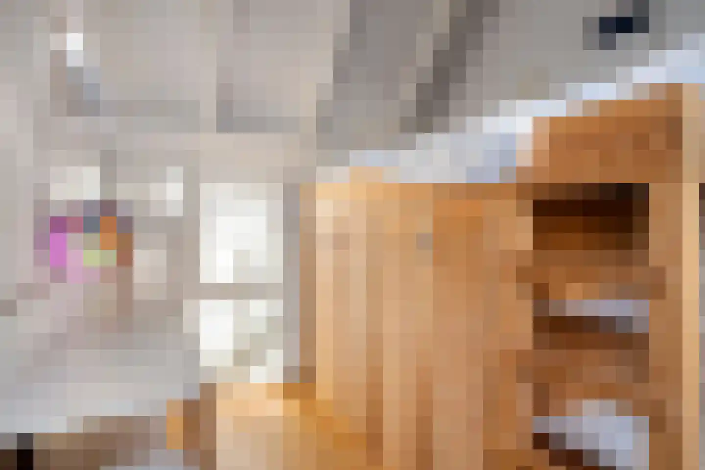 Statenhof 21 Goes thumbnail 23
